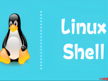 10 (g)֪ Linux Shell _С